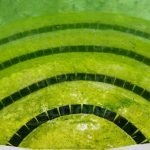 Eliminando algas amarelas da piscina