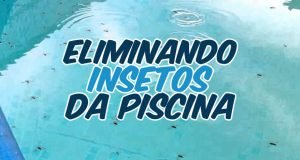 Como eliminar insetos da piscina